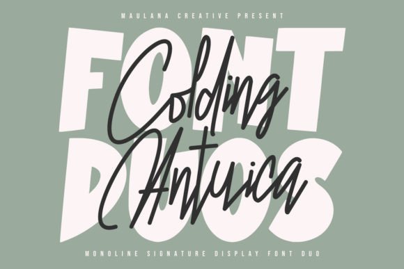 Colding Antuica Font Duo: A Premium Typeface for Real Businesses