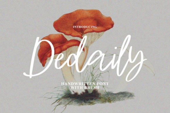 Dedaily Font: A Script Amp Typeface for Digital Design Magic