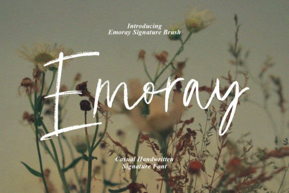 Emoray Font: A Signature Touch for Digital Branding