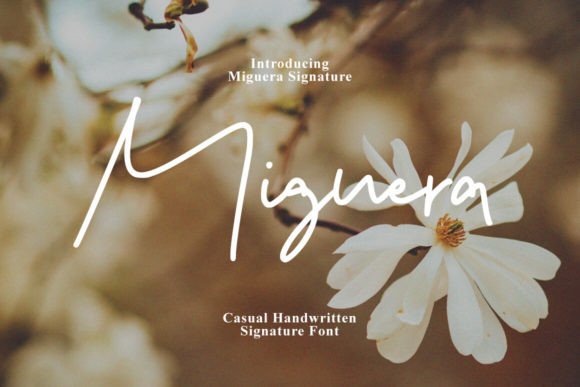 Miguera Font: A Script Amp for Polished Web Design