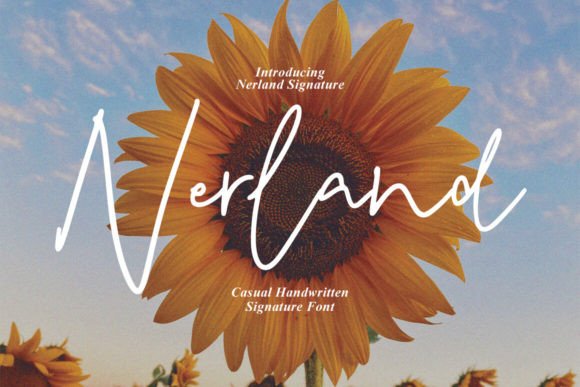 Nerland: A Script Font That Elevates Editorial Design
