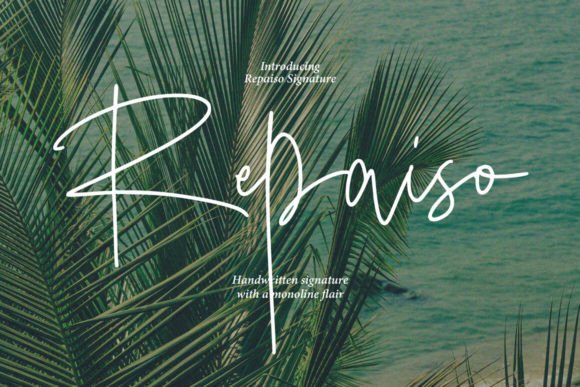 Repaiso: A Beautiful Script Font for a Polished Brand