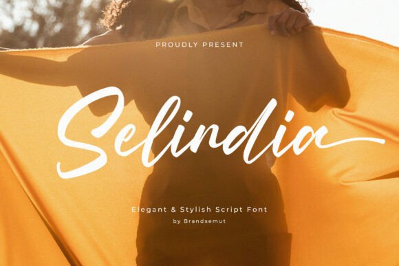 Selindia Font: Elevating Brand Content with Modern Script Typography