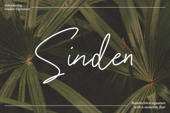 Sinden Font: A Beautiful Display Typeface for Digital Design