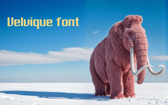 Velvique Font Review: A Luxurious Handwritten Typeface for Creative Brands